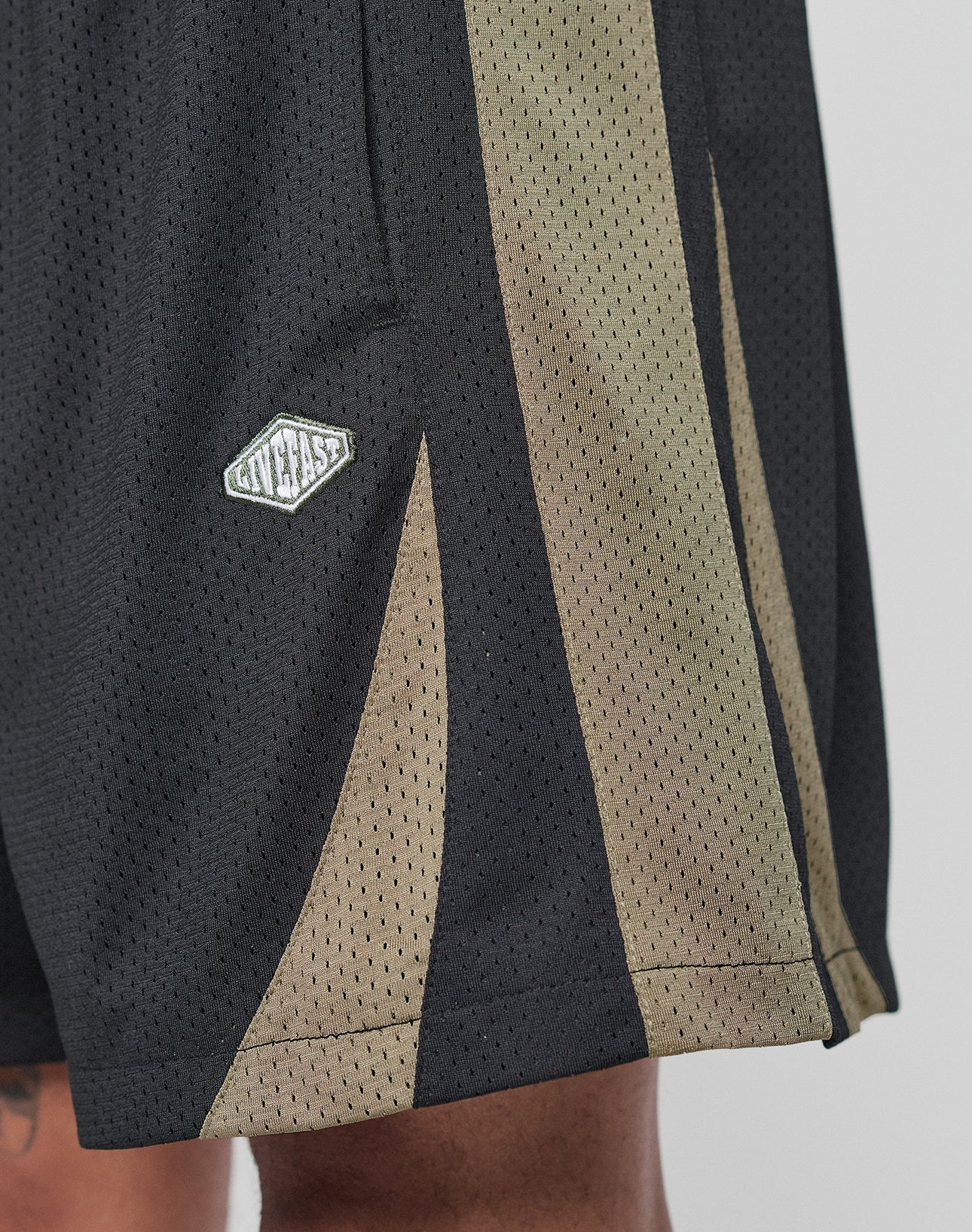 Striped Mesh Shorts