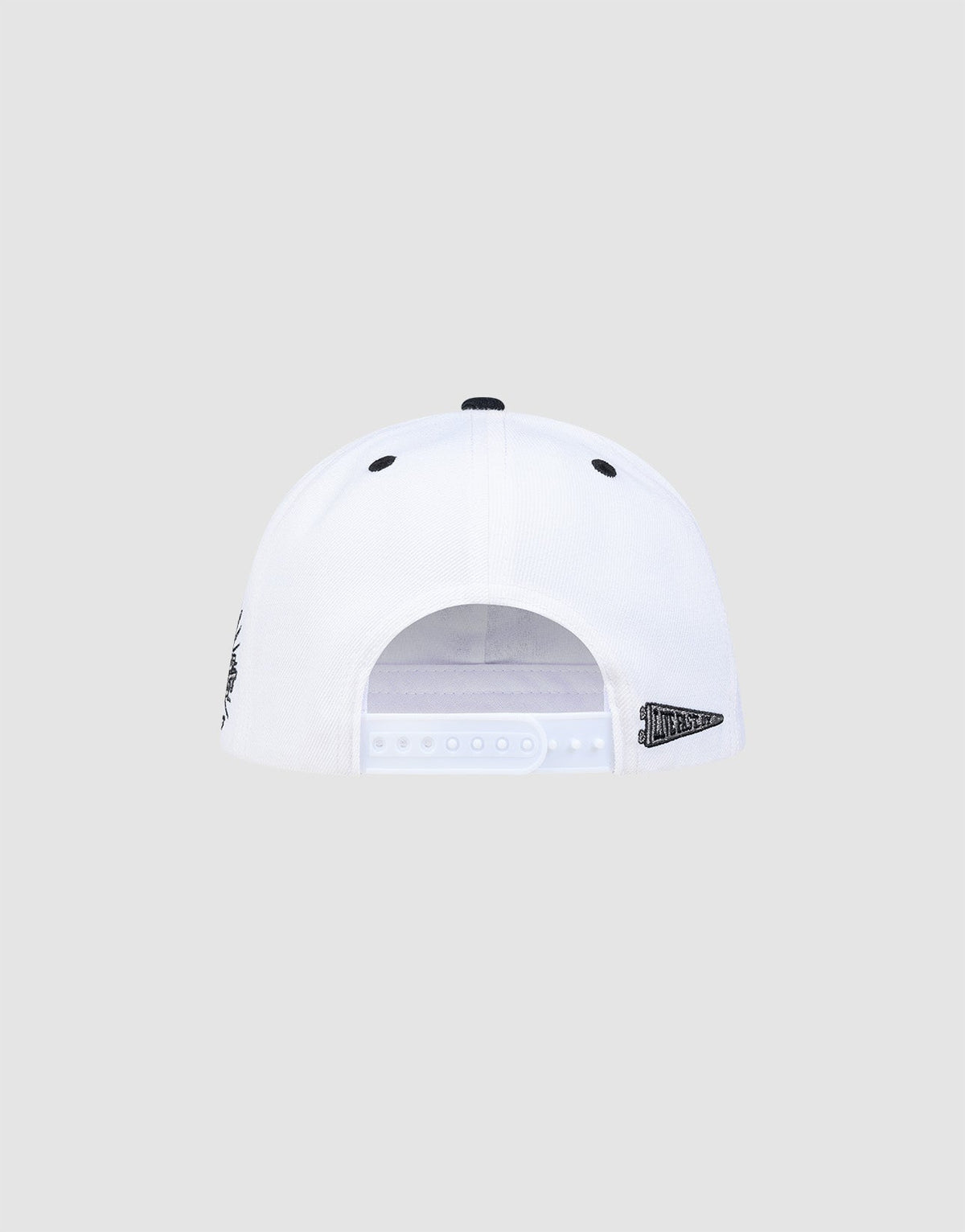 The LFDY Snapback by LIVE FAST DIE YOUNG is shown from the back, featuring an adjustable snap closure, small black multi-logo stitching, and a green underbrim, set against a plain light gray background.