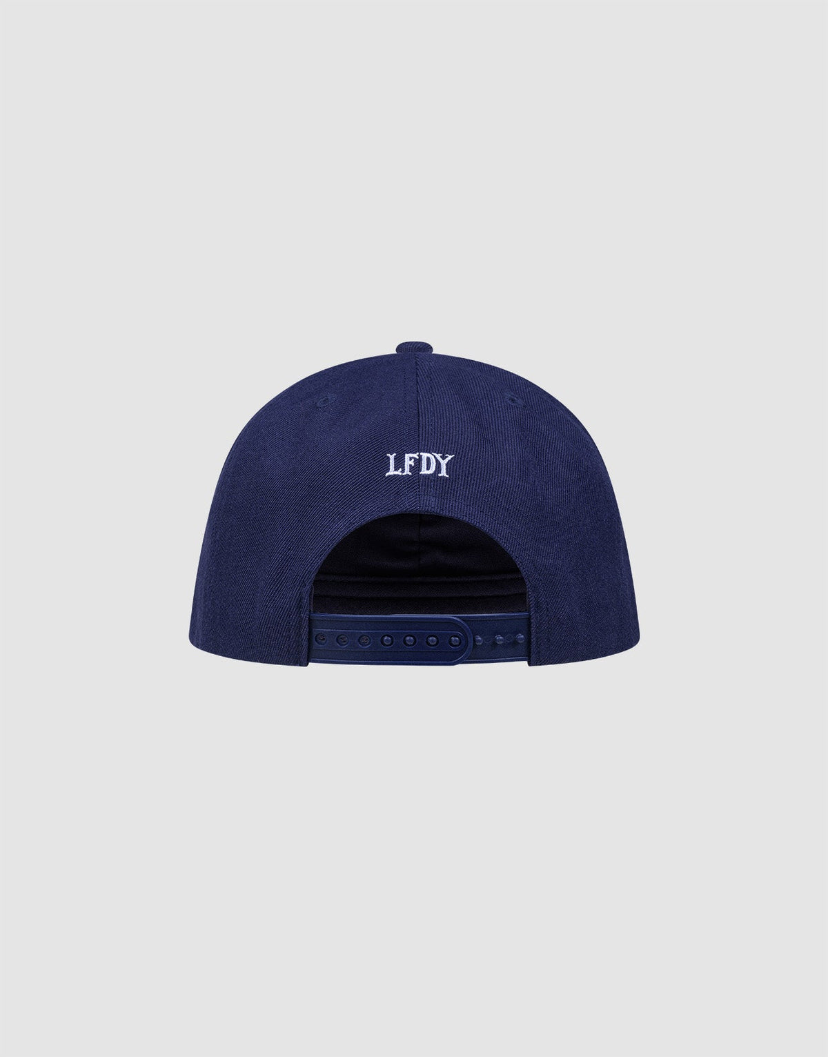 The LFDY Snapback by LIVE FAST DIE YOUNG is shown from the back on a light gray background, featuring white embroidered LFDY letters and style code LF2605-20880 above the adjustable Snapverschluss strap.