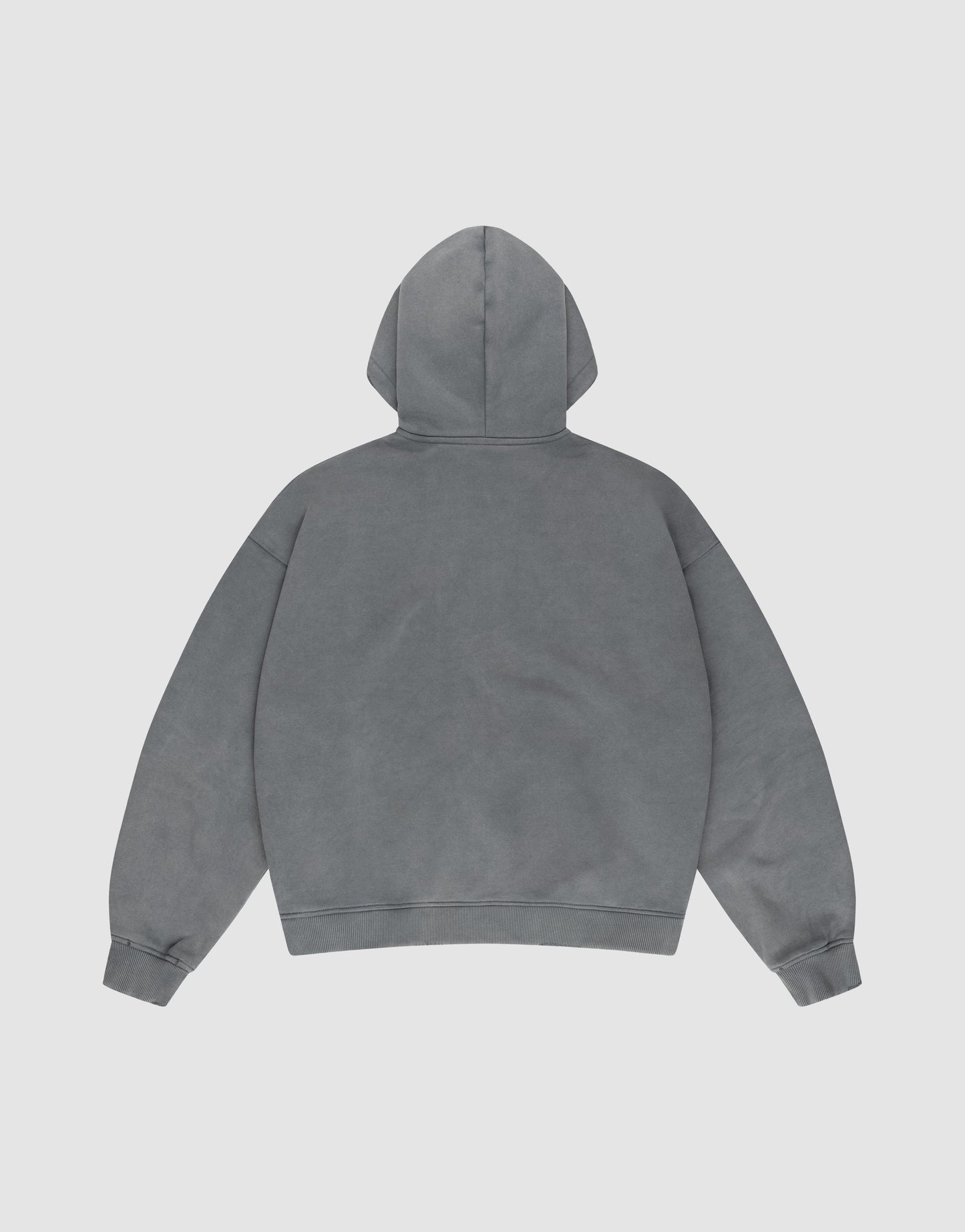A plain grey LIVE FAST DIE YOUNG Basic Hooded Zip, shown from the back with long sleeves and no visible logo or designs, displayed on a white background in an oversized fit.