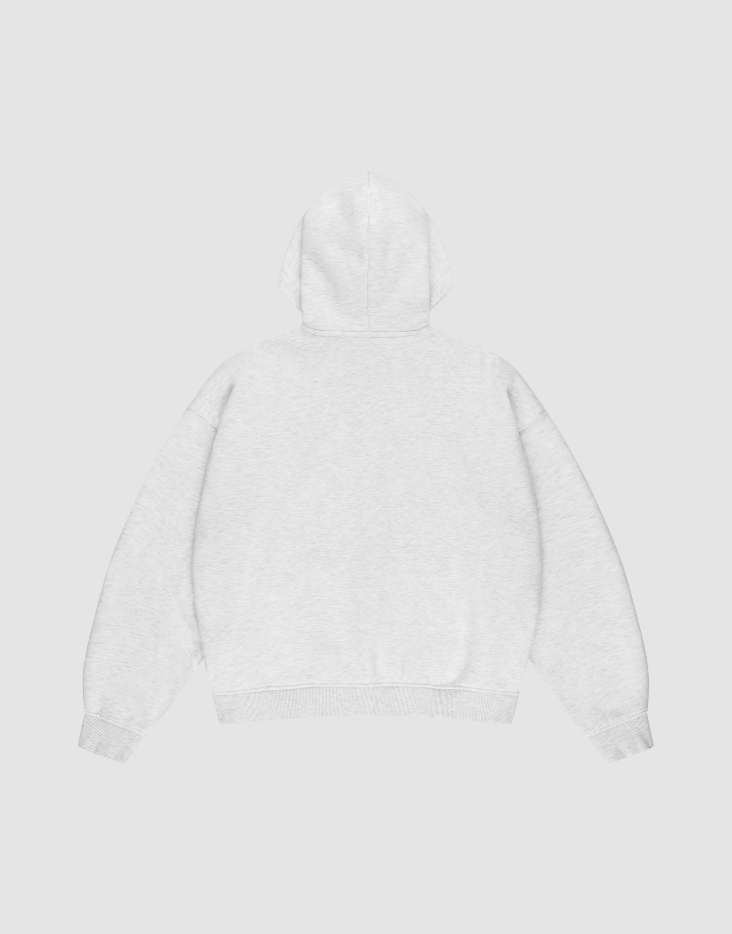 The LIVE FAST DIE YOUNG Basic Hooded Zip, an oversized light gray sweatshirt with long sleeves and ribbed cuffs and hem, is shown flat from the back on a matching light gray background.