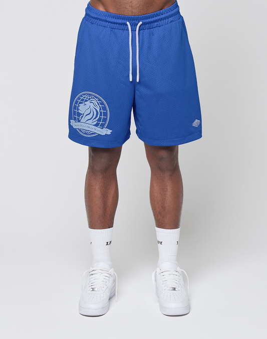 LFDY Data Mesh Shorts