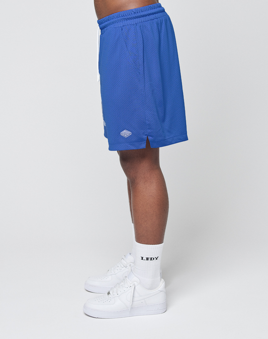 LFDY Data Mesh Shorts