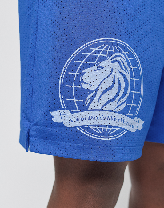 LFDY Data Mesh Shorts