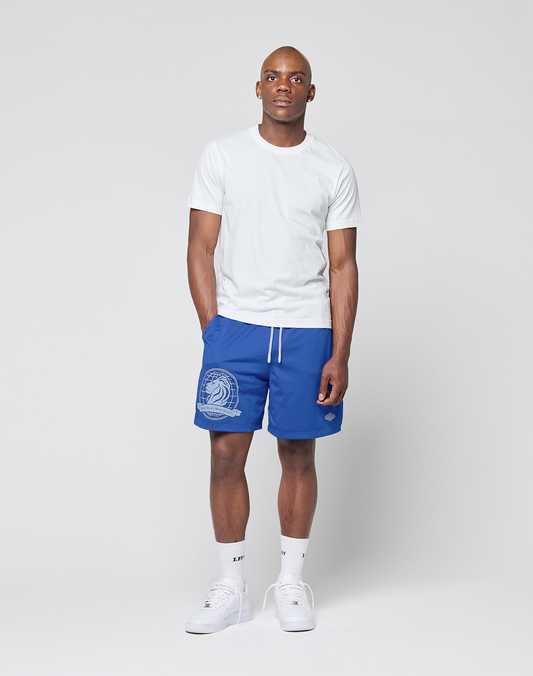 LFDY Data Mesh Shorts