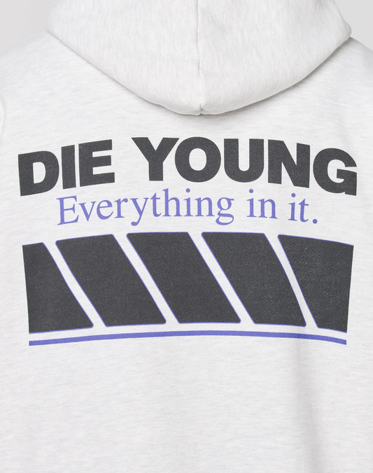 Back of the LFDY Racing Hooded by LIVE FAST DIE YOUNG in light gray, Oversize Fit, with bold black glossy DIE YOUNG text over blue Everything in it and five black diagonal bars outlined in blue. Made from a Baumwolle-Polyester blend.