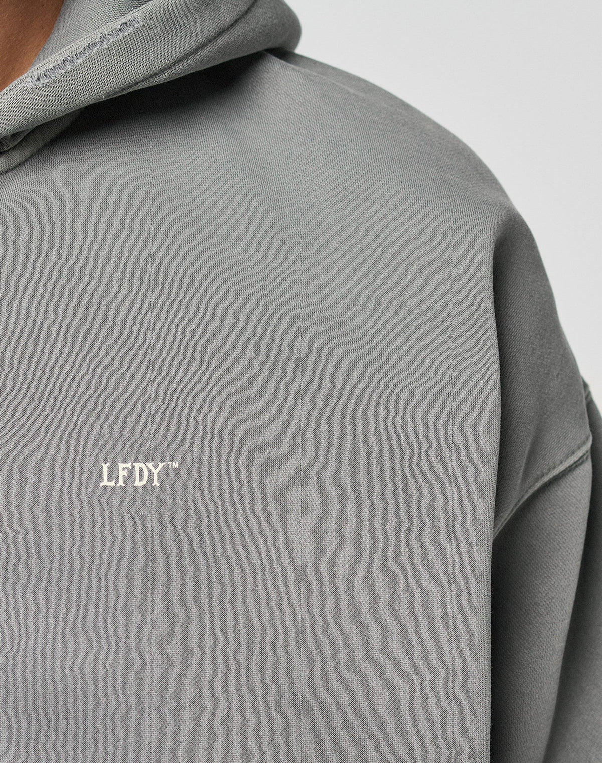 Close-up of a person wearing the LIVE FAST DIE YOUNG Basic Hooded Zip in gray, featuring a subtle white LFDY™ logo on the chest and a soft Faded Look. The hood and shoulder are partially visible.