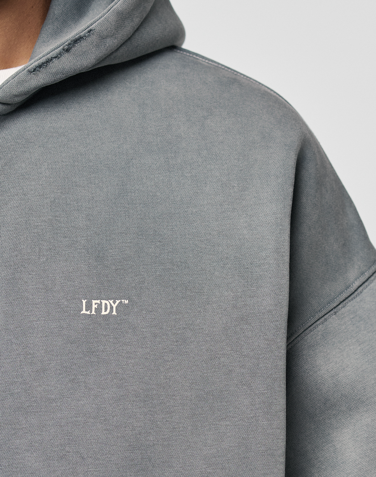 A close-up of a person wearing the LIVE FAST DIE YOUNG Basic Hooded Zip in faded grey. The hoodie features a small white LFDY™ logo on the chest, subtle distressing, and a casual oversized fit against a plain light background.