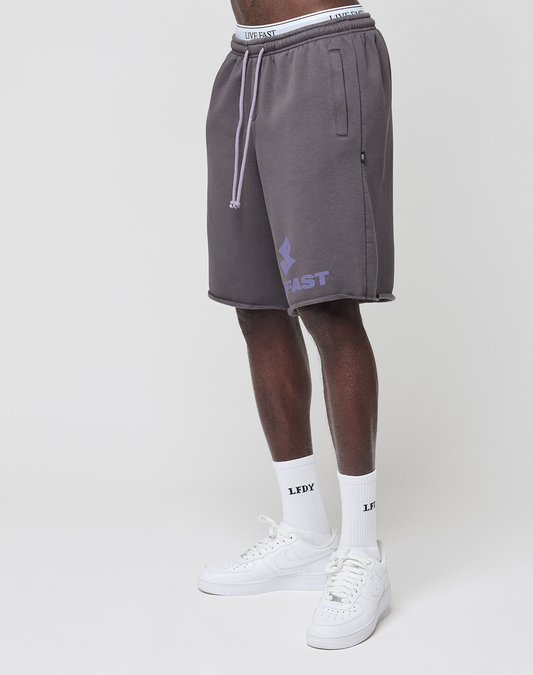 A person in gray LIVE FAST DIE YOUNG Live Fast LF Shorts with purple logo, side pockets, and elastic waistband, paired with white LFDX socks and white sneakers stands against a plain background. Only the lower half is shown.