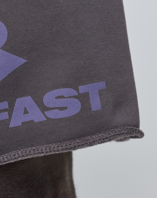A close-up of the LIVE FAST DIE YOUNG Live Fast LF Shorts in dark gray shows purple "FAST" text, visible edge stitching, and a comfy Elastikbund waistband for extra ease.