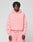 Basic 360 Hooded