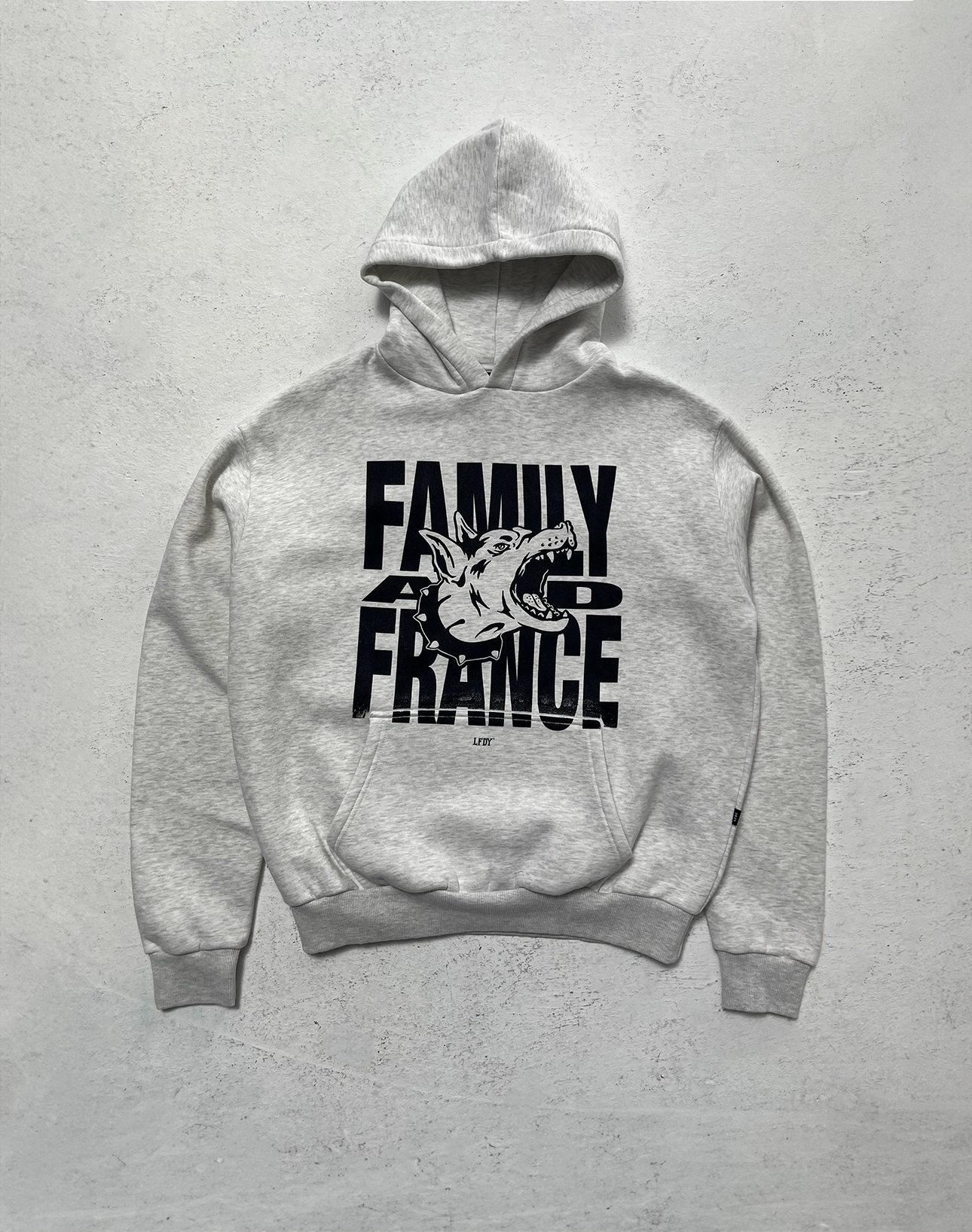 The LIVE FAST DIE YOUNG LFDY Family & France Hooded is a light gray oversized cotton sweatshirt featuring bold black "FAMILY AND FRANCE" text and a roaring lion head graphic on the front, displayed flat on a textured surface.