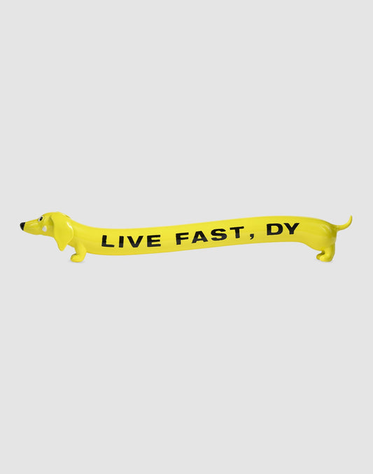 LFDY Long Vehicles Figure