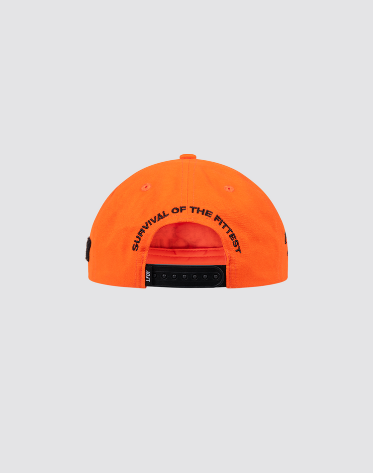 LFDY Unstructured Cap