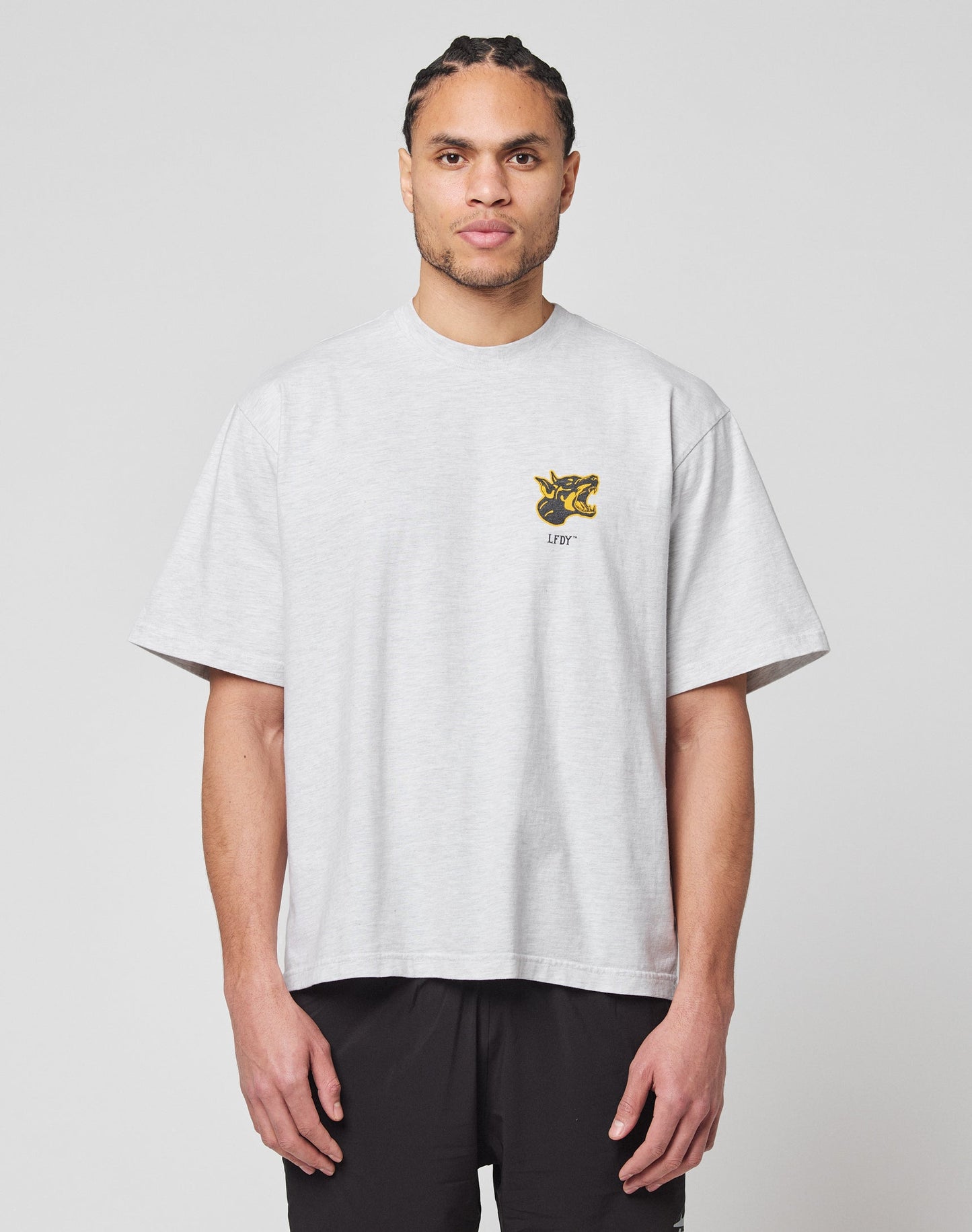A man with braided hair wears the LFDY Circle Dog Tee by LIVE FAST DIE YOUNG, an oversize-fit, light gray 100% Baumwolle T-shirt with a small yellow and brown graphic on the left chest, paired with black pants against a plain background.