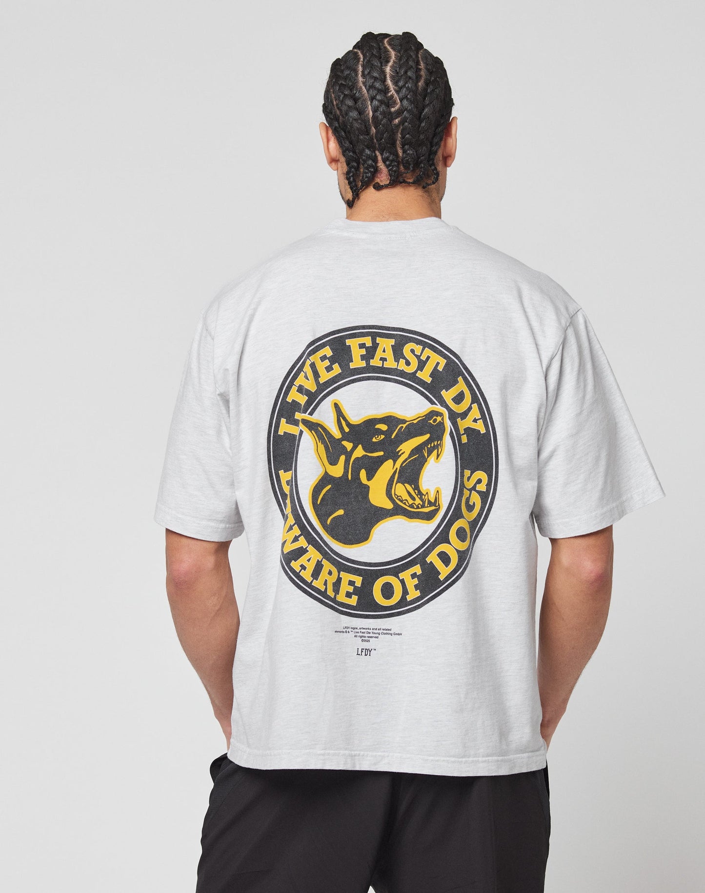 A man with braided hair, seen from behind, wears the LIVE FAST DIE YOUNG LFDY Circle Dog Tee in gray with a vintage wash. The back shows a bold snarling dog graphic and yellow “LIVE FAST DIE WARE OF DOGS” text. He pairs it with black shorts.