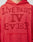 A person wears the LFDY IV Ever Hooded by LIVE FAST DIE YOUNG, an oversized red hoodie with LIVE FAST IV EVER in bold on the front, vintage wash finish, roomy bottom pocket, and made from 100% Baumwolle for comfort.
