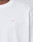 Basic Evidence Tee