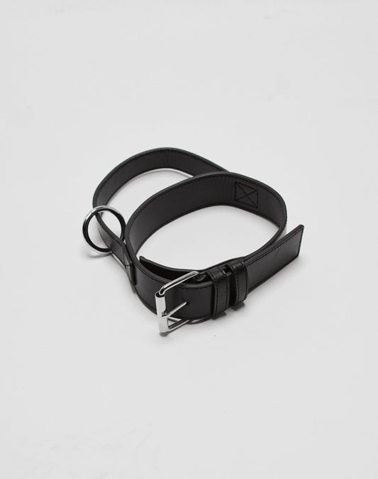 LFDY Dog Collar