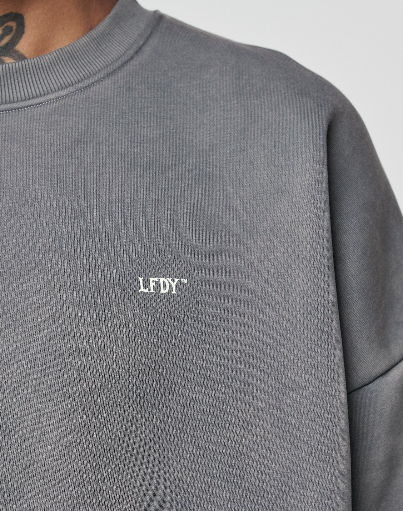 Close-up of a person wearing the LIVE FAST DIE YOUNG Basic Chest Sweater in gray, featuring an oversize fit and small white embroidered branding on the chest. Only part of the neck and shoulder are visible.