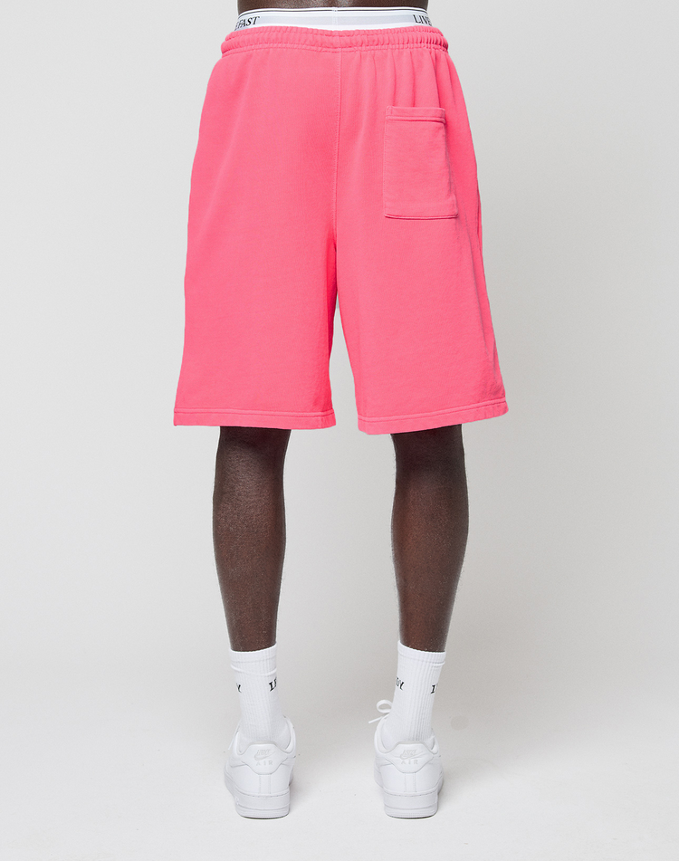 Basic Shorts