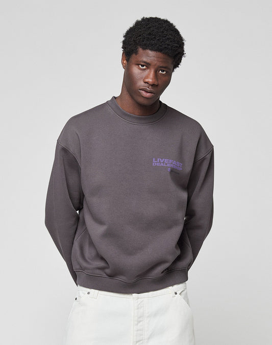 A person wears the oversized LFDY Network Sweater by LIVE FAST DIE YOUNG in dark grey Baumwolle, featuring purple "LIVE FAST DEATH LAST" prints on front and back, standing against a plain light background and facing the camera.