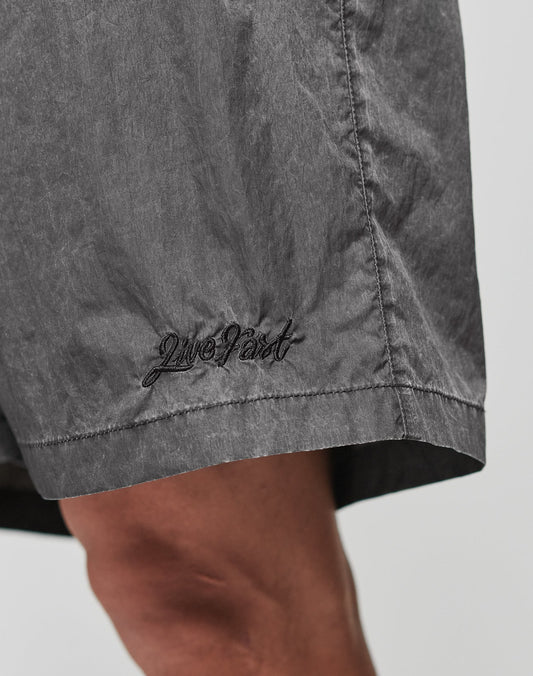 Close-up of a person wearing LIVE FAST DIE YOUNG Live Fast Swimshorts in gray, Regular Fit, with Live Fast embroidered in black near the hem. The background is plain and light-colored.