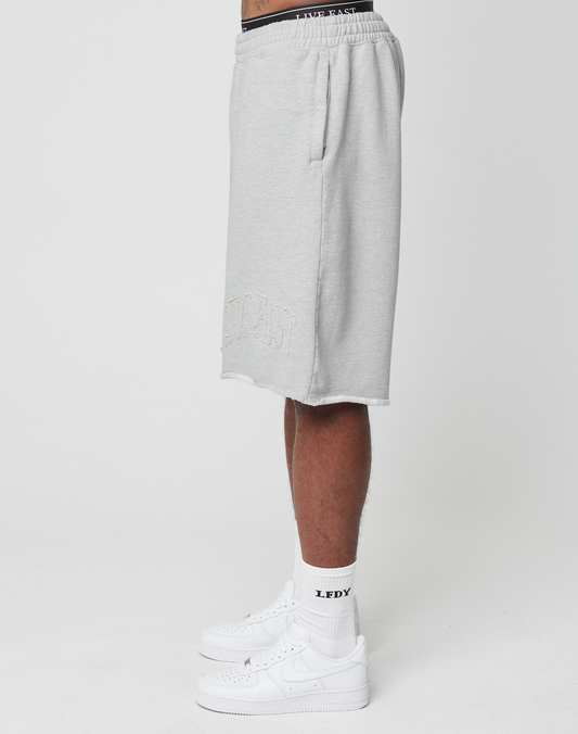 Ripped College Shorts