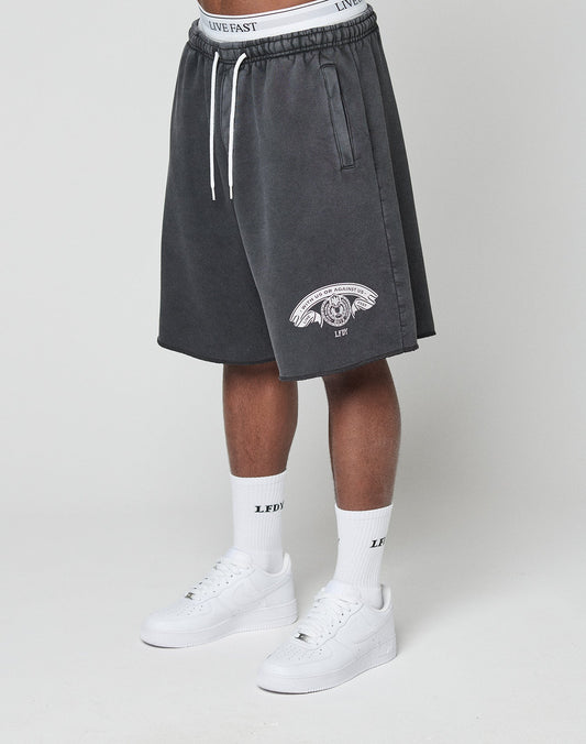 model |