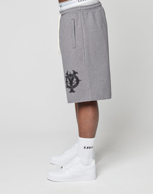 DY Shorts
