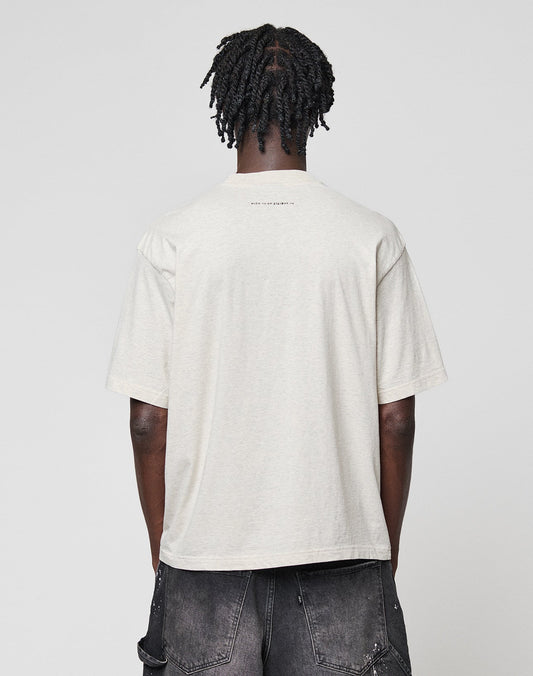 LFDY College Tee in Grau Rückseite
