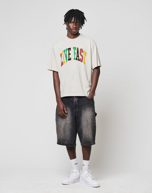 LFDY College Tee in Grau Style