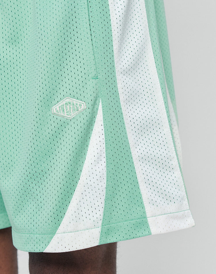 Striped Mesh Shorts