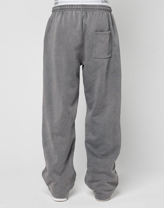 Back view of a person wearing LIVE FAST DIE YOUNG Basic Wide Jogger, oversize gray sweatpants with an elastic waistband with drawstring and a single right back pocket, standing against a plain light gray background.