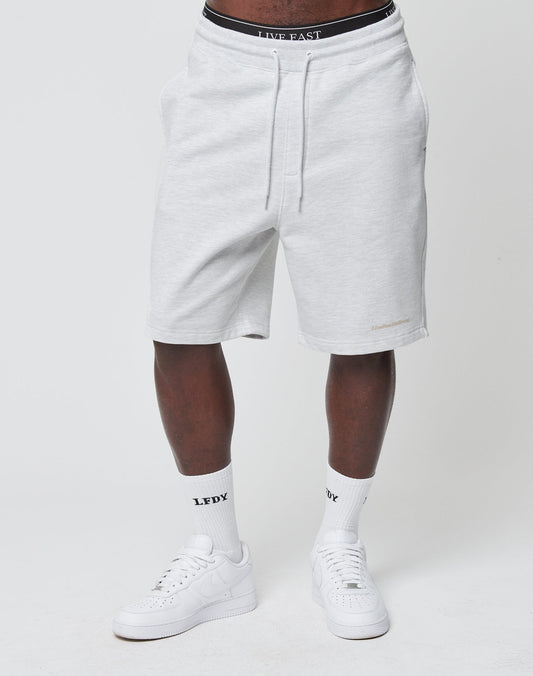 A person wears LIVE FAST DIE YOUNGs Basic Heavy Shorts in light gray with an elastic waistband reading LIVE FAST, drawstrings, white sneakers, and LFDY logo-print socks. The background is plain white.