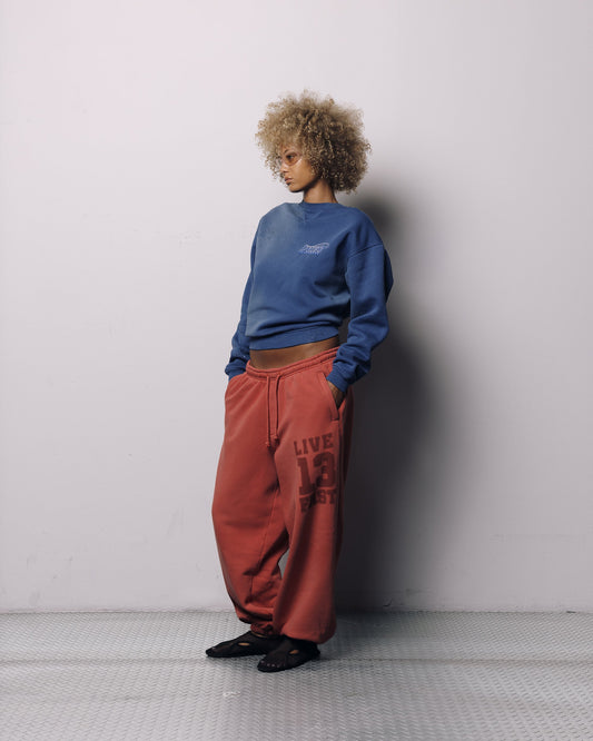 LFDY 13 Jogger