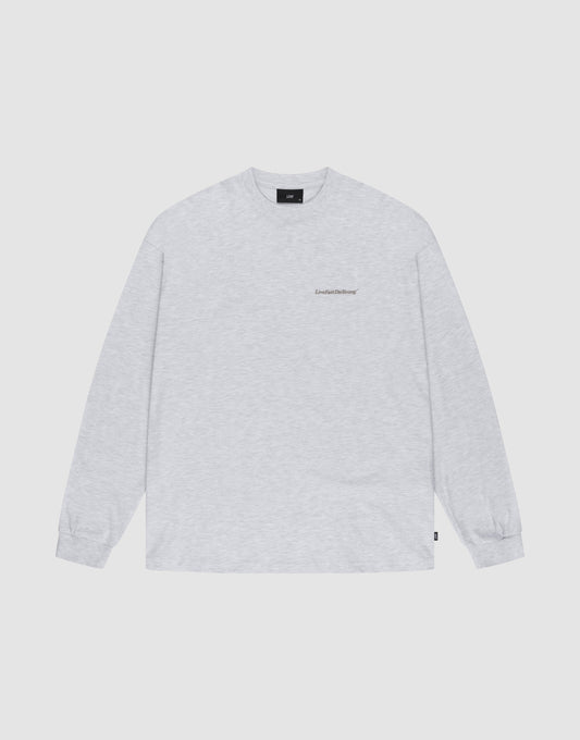 The LIVE FAST DIE YOUNG Basic Longsleeve is an oversized, light gray crewneck shirt with long sleeves and a small logo print on the left chest, shown laid flat on a white background. | plain