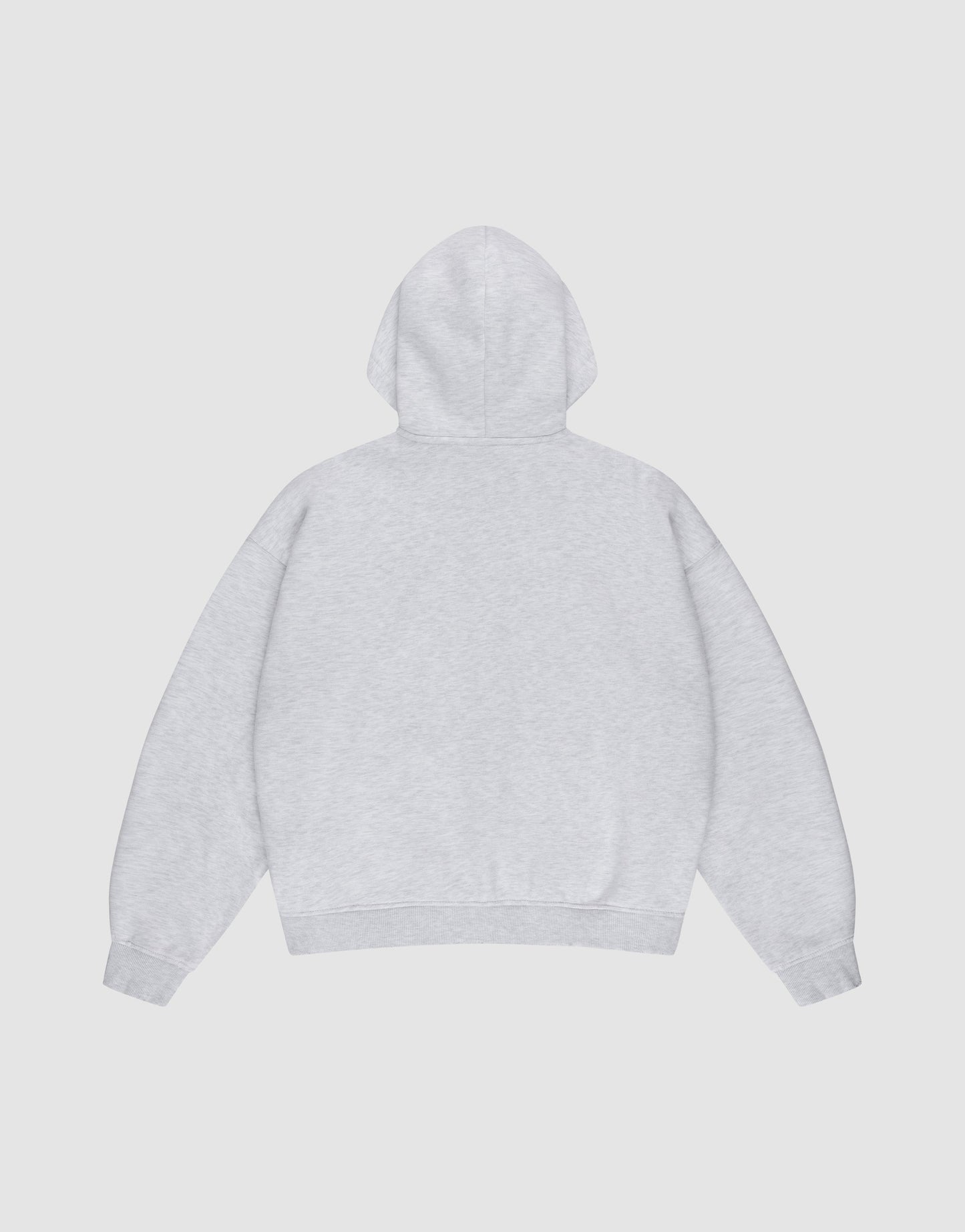 The LIVE FAST DIE YOUNG Basic Hooded Zip is a plain light gray hoodie laid flat, back up, on a white background. It features long sleeves, ribbed cuffs and hem, and an oversize fit for extra comfort.
