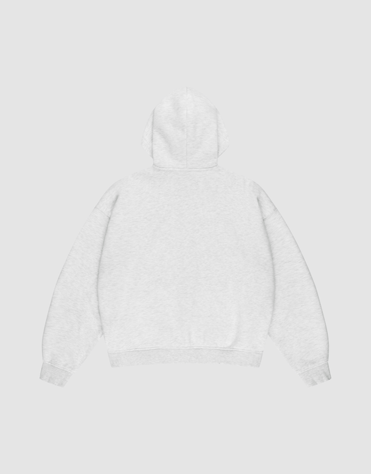 The LIVE FAST DIE YOUNG Basic Hooded Zip, an oversized light gray sweatshirt with long sleeves and ribbed cuffs and hem, is shown flat from the back on a matching light gray background.