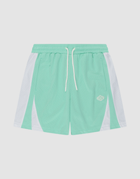 Striped Mesh Shorts