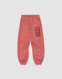LFDY 13 Jogger