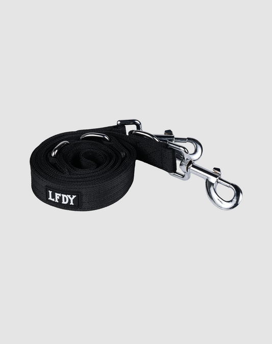 Dog Collar & Leash Set