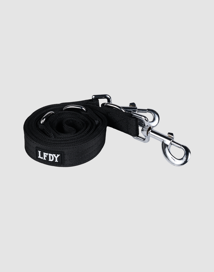 Dog Collar & Leash Set