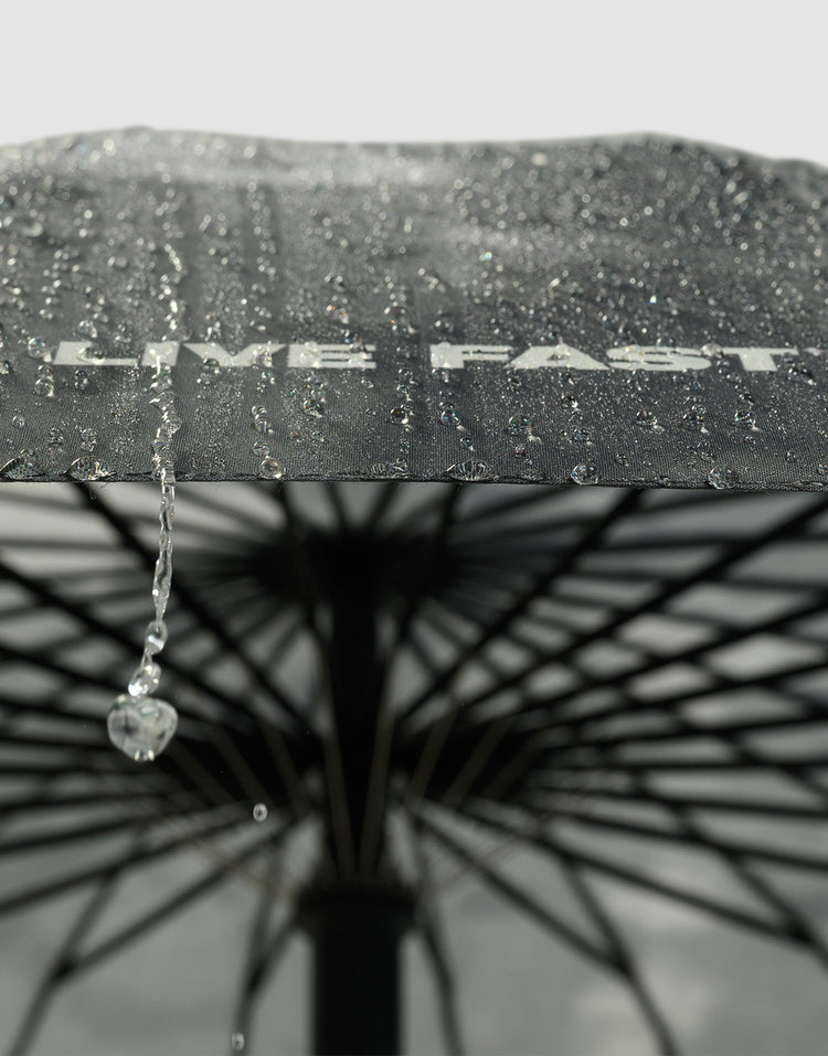 LFDY Umbrella