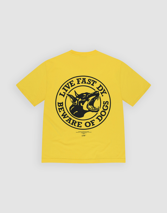 plain