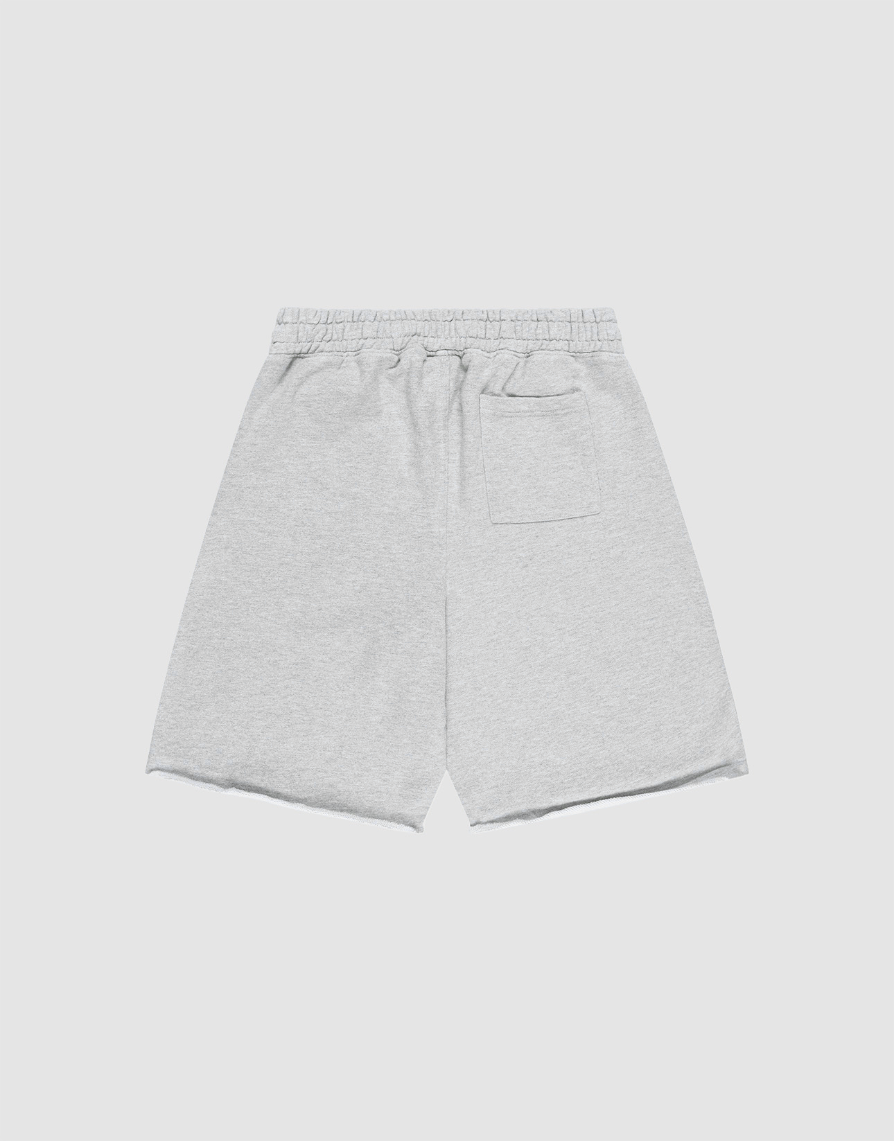 Ripped College Shorts